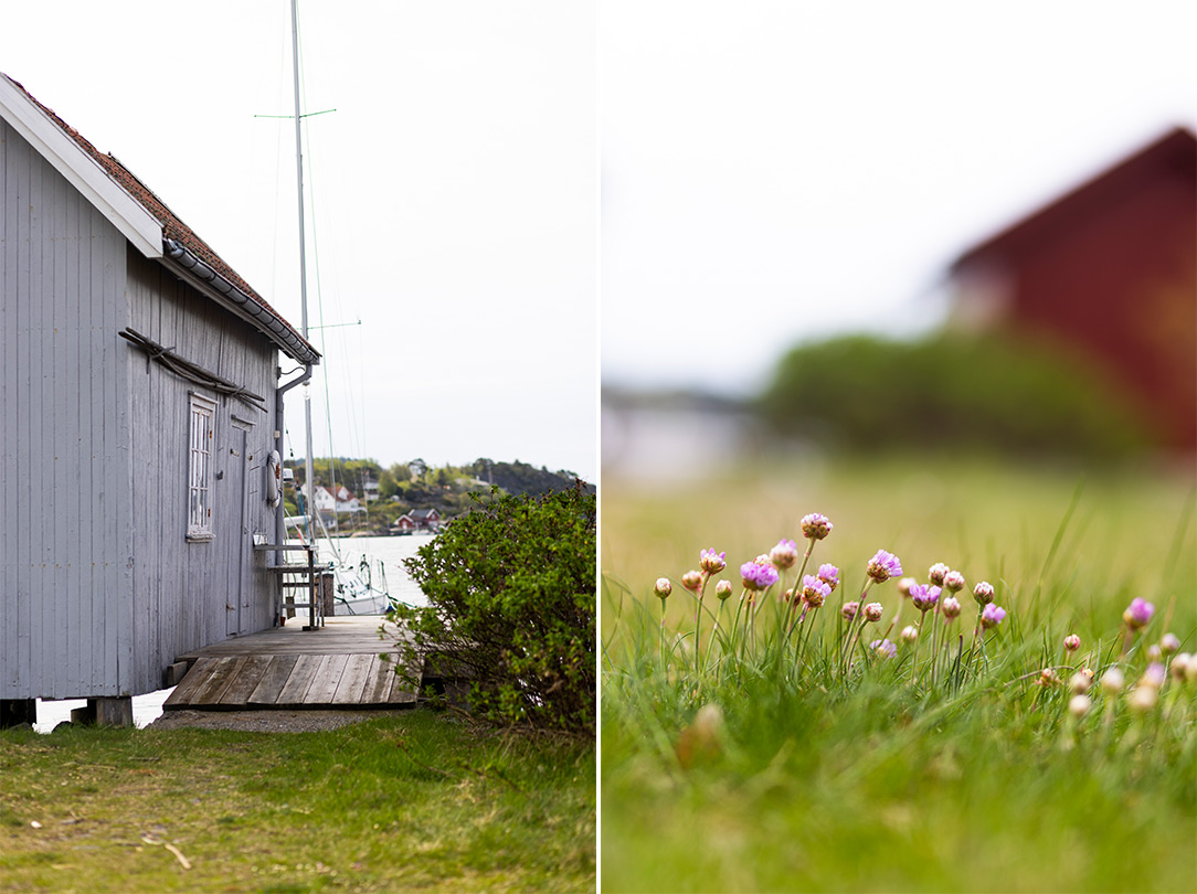 Sommermiljø ved Vestfoldkysten